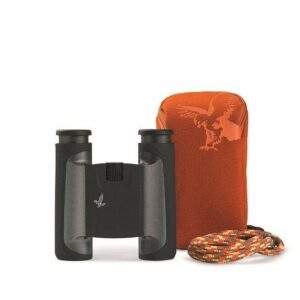 Swarovski 10x25 CL Pocket Binoculars - Anthracite - Mountain
