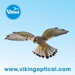 Viking Kestrel Optics Cleaning cloth