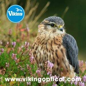 Viking Merlin Optics Cleaning cloth