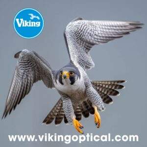 Viking Peregrine Optics Cleaning cloth