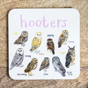 Sarah Edmonds Illustration - Hooters Bird Coaster