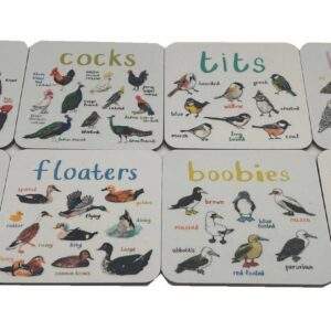 Sarah Edmonds Illustration - Set of 8 Bird Coasters
