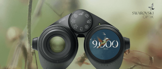 Screenshot 2024-08-20 at 08.57.48