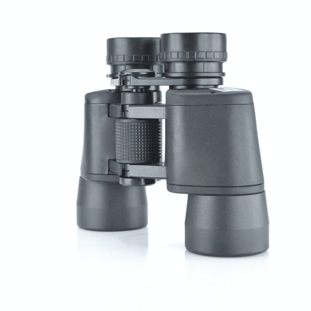 rspb-ASW_0006