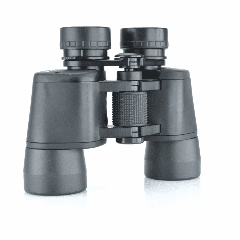 rspb-ASW_0034