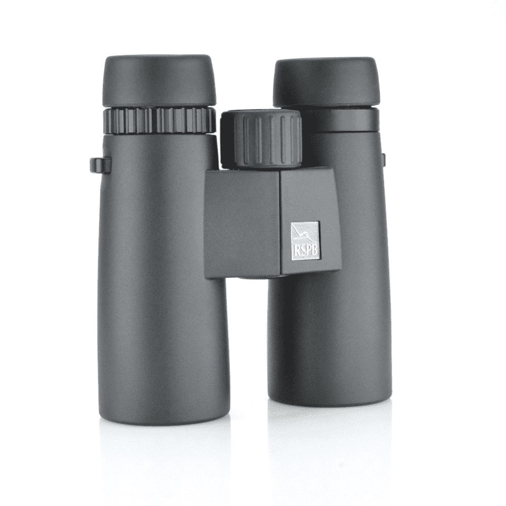 RSPB_HDX_0034