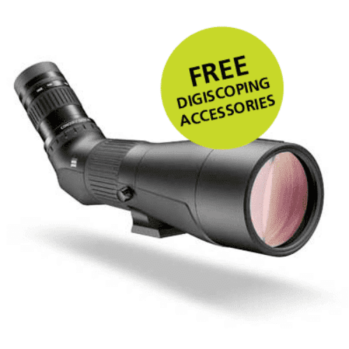 zeiss-gavia-offer