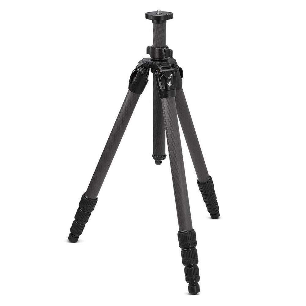 cct-compact-car_5D27C19F_large
