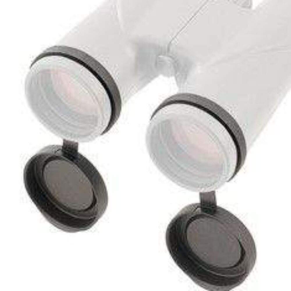 object-cap-31050-main