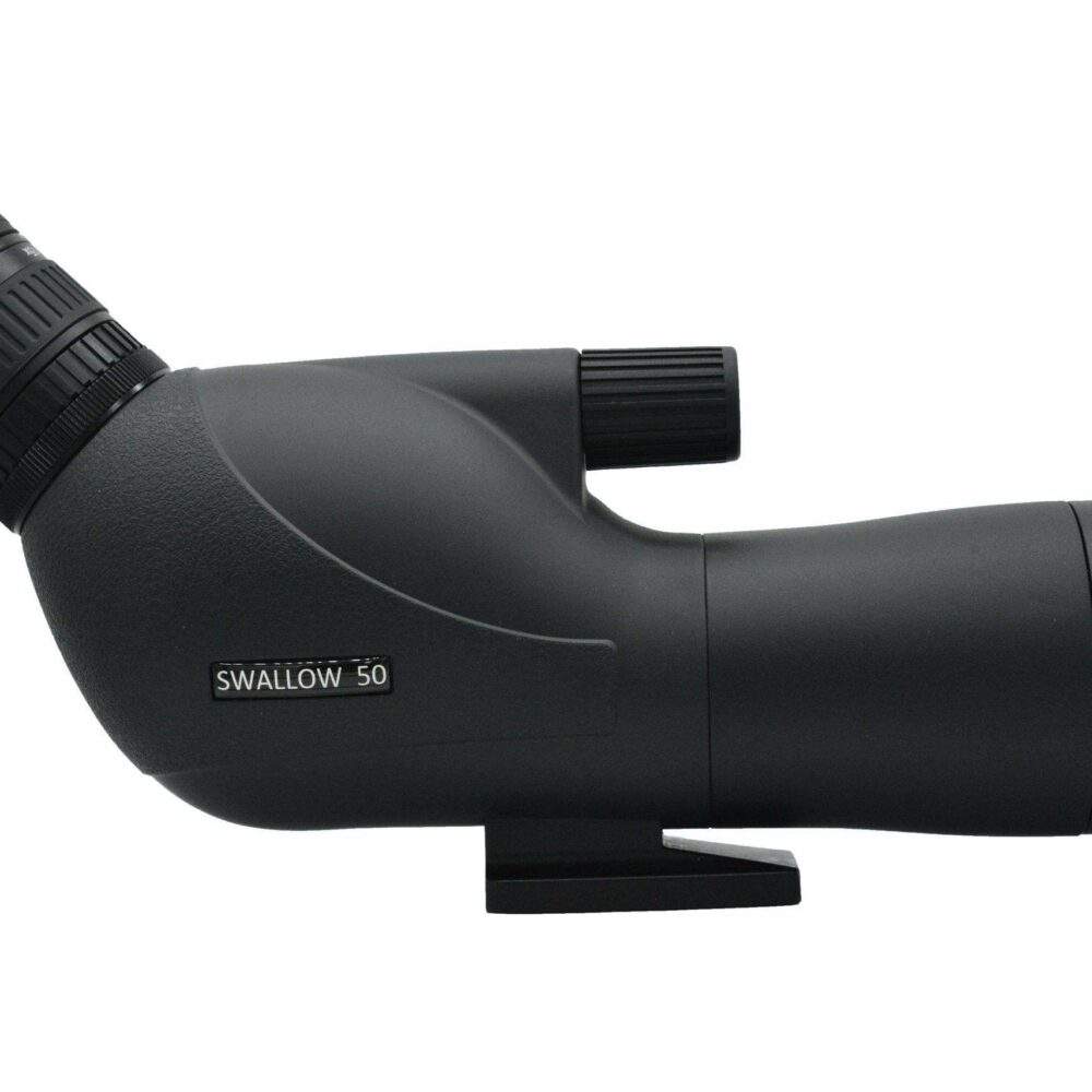Swallow-50-2023-RHS-web-scaled