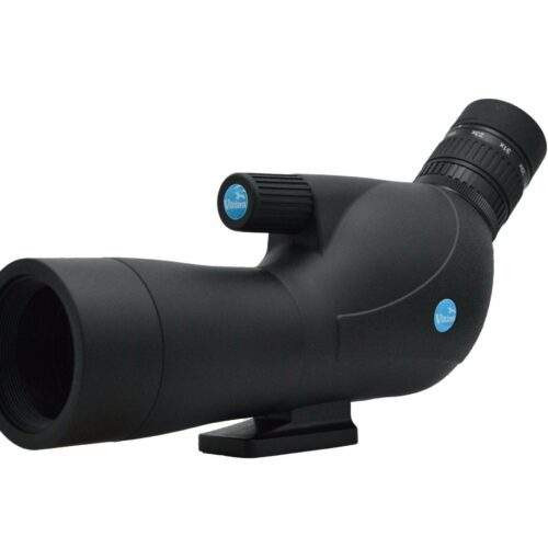 Swallow-50-2023-angled-scaled