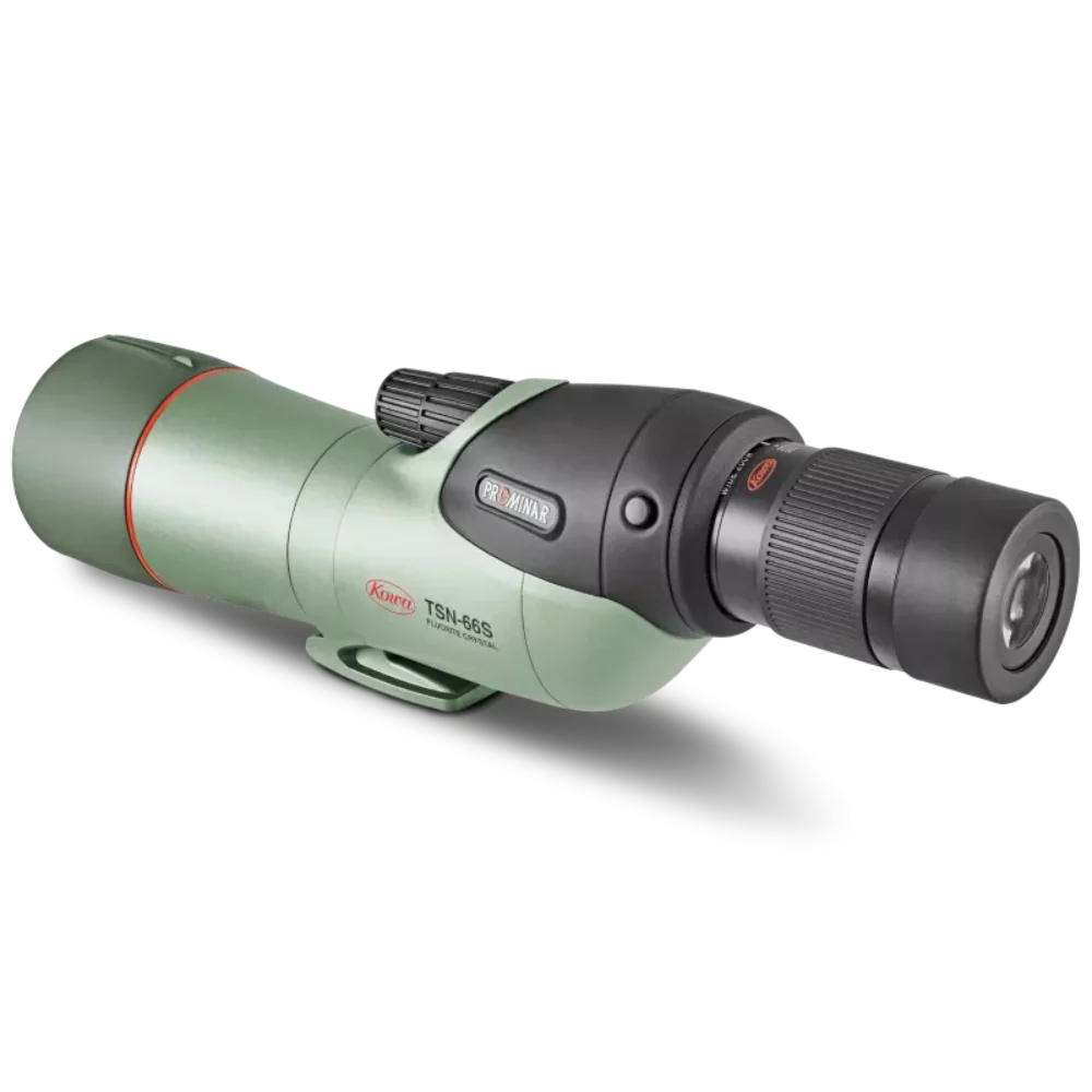 tsn-66s-prominar-rear_800x800