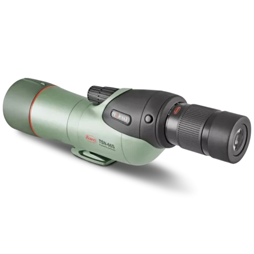 tsn-66s-prominar-rear_800x800