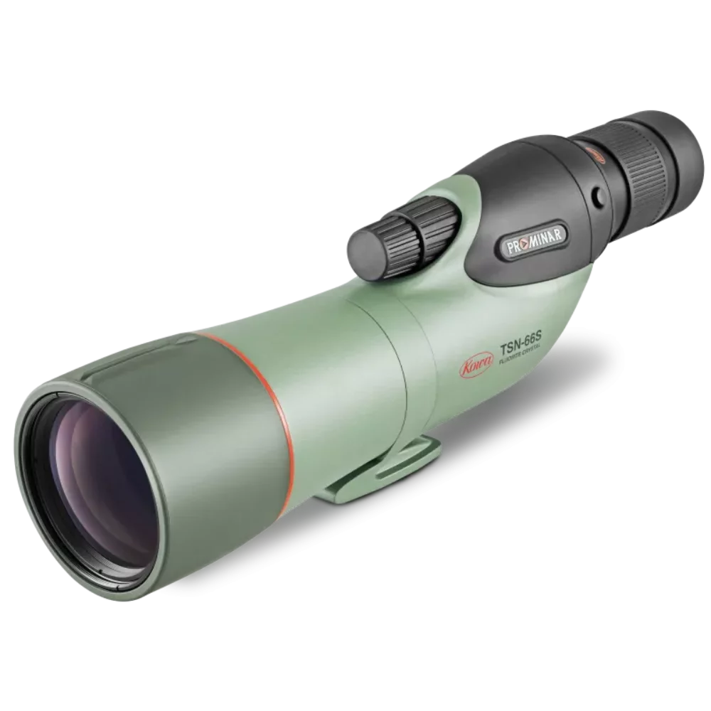 tsn-66s-prominar-angle_800x800