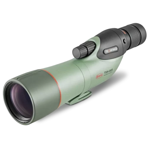 tsn-66s-prominar-angle_800x800
