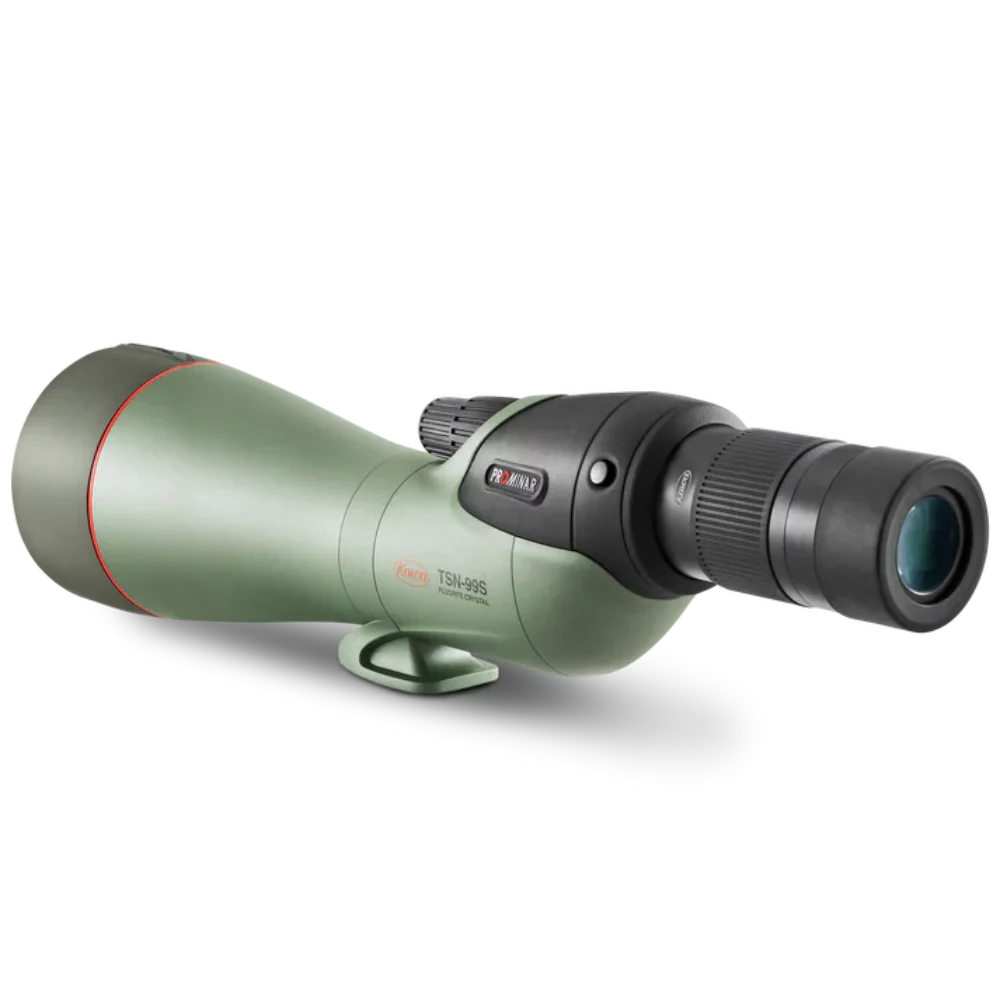 tsn-99s-prominar-rear