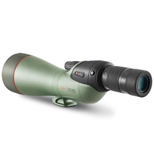 tsn-99s-prominar-rear