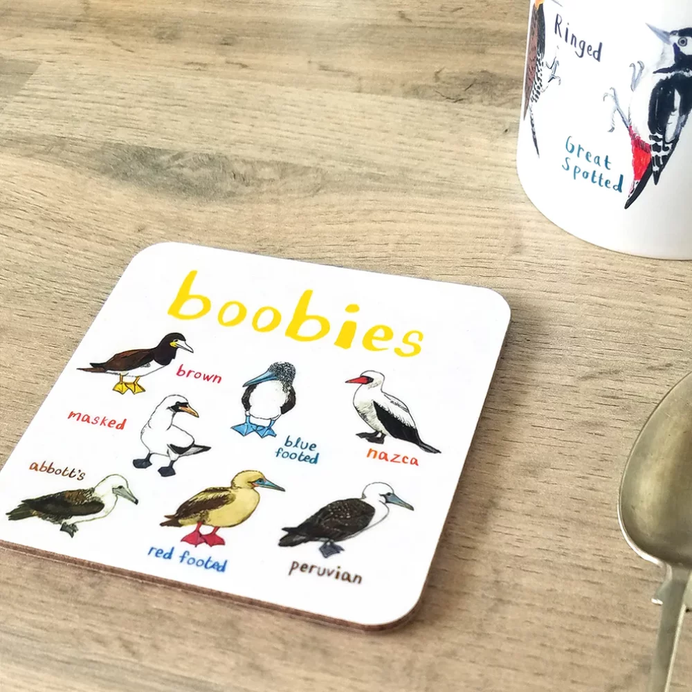 boobiescoaster