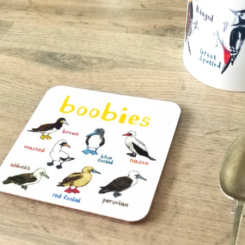 boobiescoaster