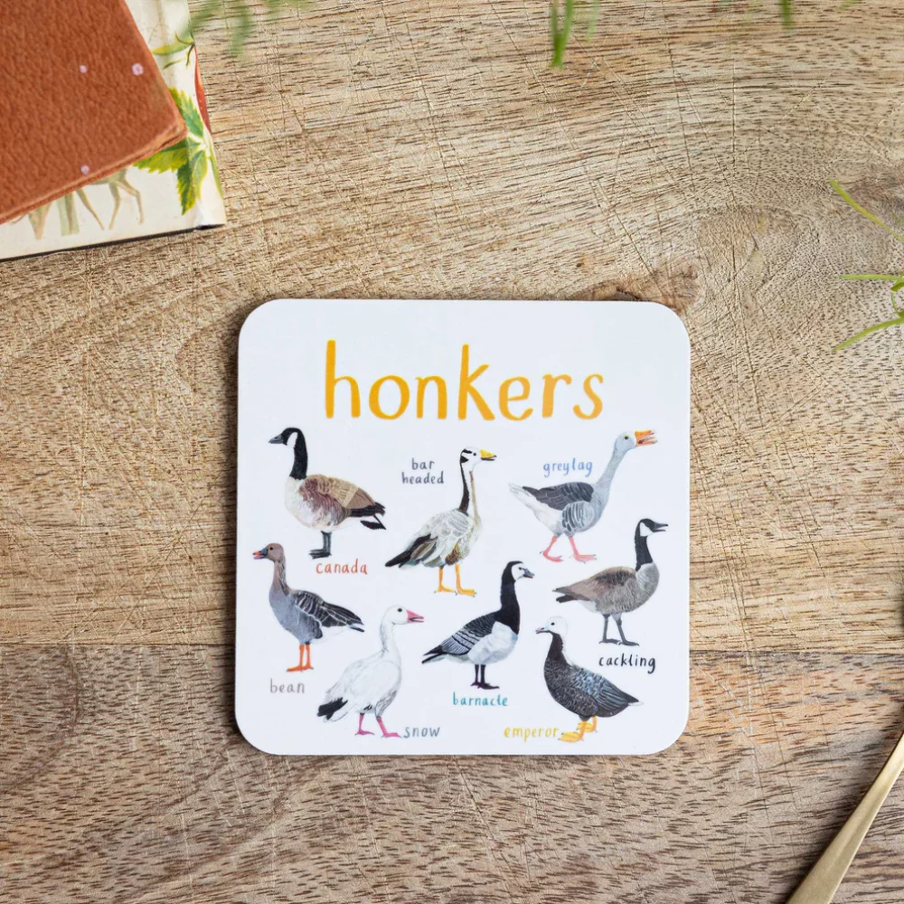 Sarah-Edmonds-Coasters-6