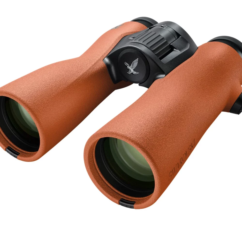 K25_NL_Pure_10x42_BurntOrange_01_Lead_59x45cm_RGB