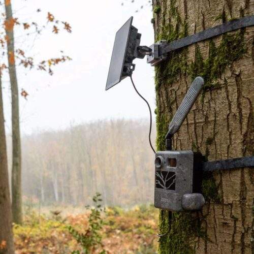 mit-zsc3-am-baum-png_800x800